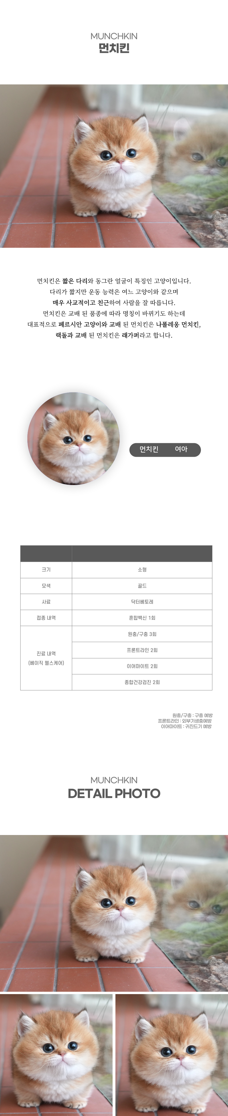 먼치킨_상세이미지_2